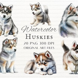Siberian Husky 20pc PNG & JPEG | Watercolor Husky PNG | Husky Commercial Use | Watercolor Siberian Husky Art | Printable Watercolor Husky