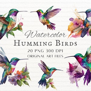 Hummingbird 20pc PNG & JPEG Bundle | Hummingbird PNG | Hummingbird Commercial Use | Watercolor Hummingbird Clipart | Printable Hummingbird