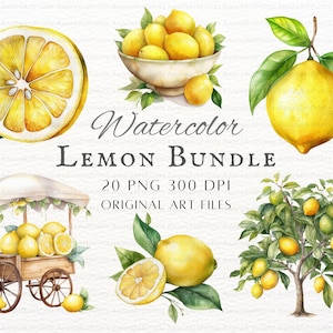 Lemon 20pc PNG & JPEG Bundle | Lemon Clipart | Lemonade Clipart | Lemon Tree PNG | Commercial Use | Watercolor Lemon | Printable Lemon Art