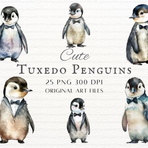 Tuxedo Baby Penguins 25pc PNG & JPEG / Acuarela Penguin PNG / Tuxedo Penguin Commercial Use / Tuxedo Penguin Png / Penguin Arte imprimible