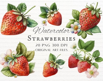 Watercolor Strawberry 20pc PNG & JPEG | Watercolor Strawberry Commercial Use PNG | Watercolor Strawberry Clipart | Kawaii Strawberry Clipart