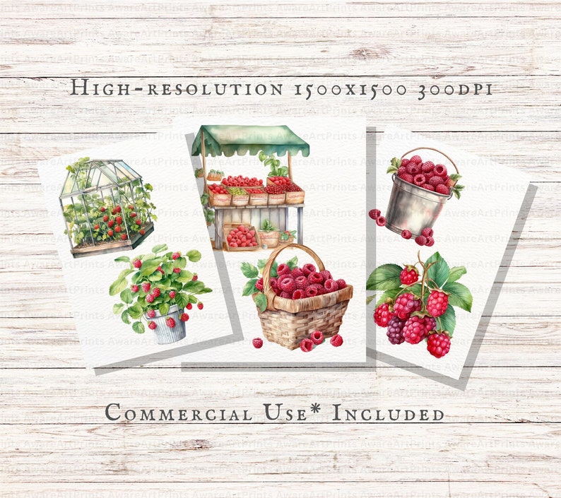 May include: Four digital illustrations of raspberries in different settings. The first image shows a greenhouse with raspberry plants. The second image shows a raspberry stand with a wooden frame and a green roof. The third image shows a basket full of raspberries. The fourth image shows a bucket full of raspberries.
