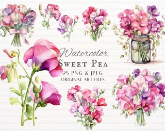 Sweet Pea 25pc PNG & JPEG Bundle | Watercolor Sweet Pea | Flower Clipart | Sweet Pea Commercial Use | Printable Sweet Pea | Sweet Pea Art