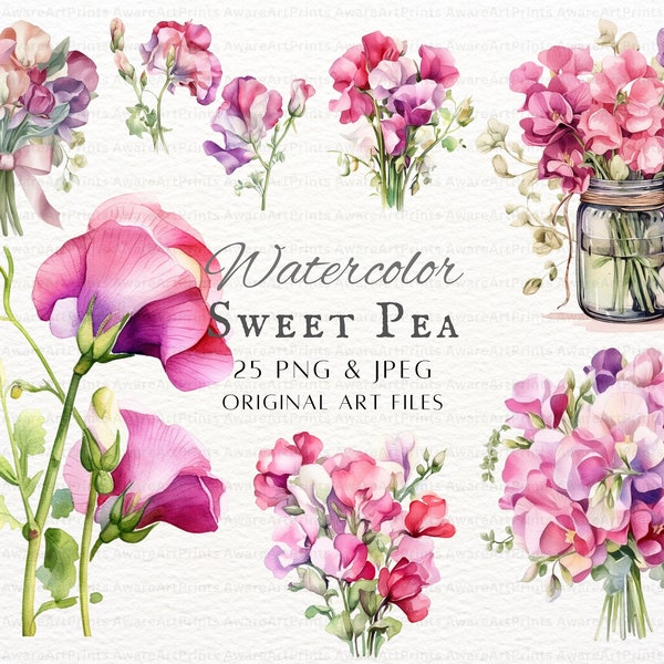 Sweet Pea 25pc PNG & JPEG Bundle | Watercolor Sweet Pea | Flower Clipart | Sweet Pea Commercial Use | Printable Sweet Pea | Sweet Pea Art