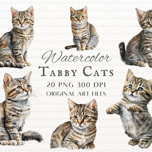 Chats tigré 20pc PNG & JPEG | Chat tigré aquarelle PNG | Chats tigré | Utilisation commerciale de chat tigré | Art de chat tigré imprimable | Chat tigré kawaii