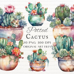 Acuarela Cactus 20pc PNG Bundle / Potted Cactus PNG / Potted Succulent PNG / Uso comercial de cactus / Cactus imprimible / Cactus de acuarela