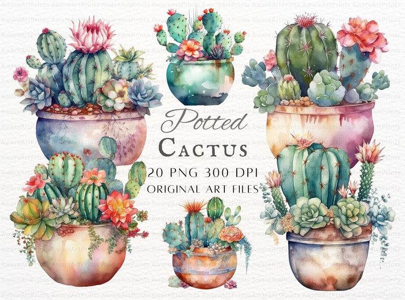Watercolor Cactus 20pc PNG Bundle | Potted Cactus PNG | Potted ...