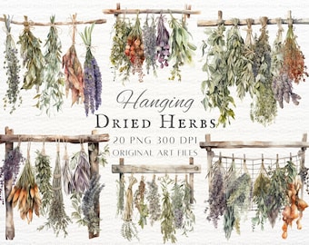 Dried Herbs 20pc PNG Bundle | Hanging Herbs PNG | Watercolor Dried Herbs PNG | Printable Hanging Herbs | Herbs Commercial Use | Dried Herbs