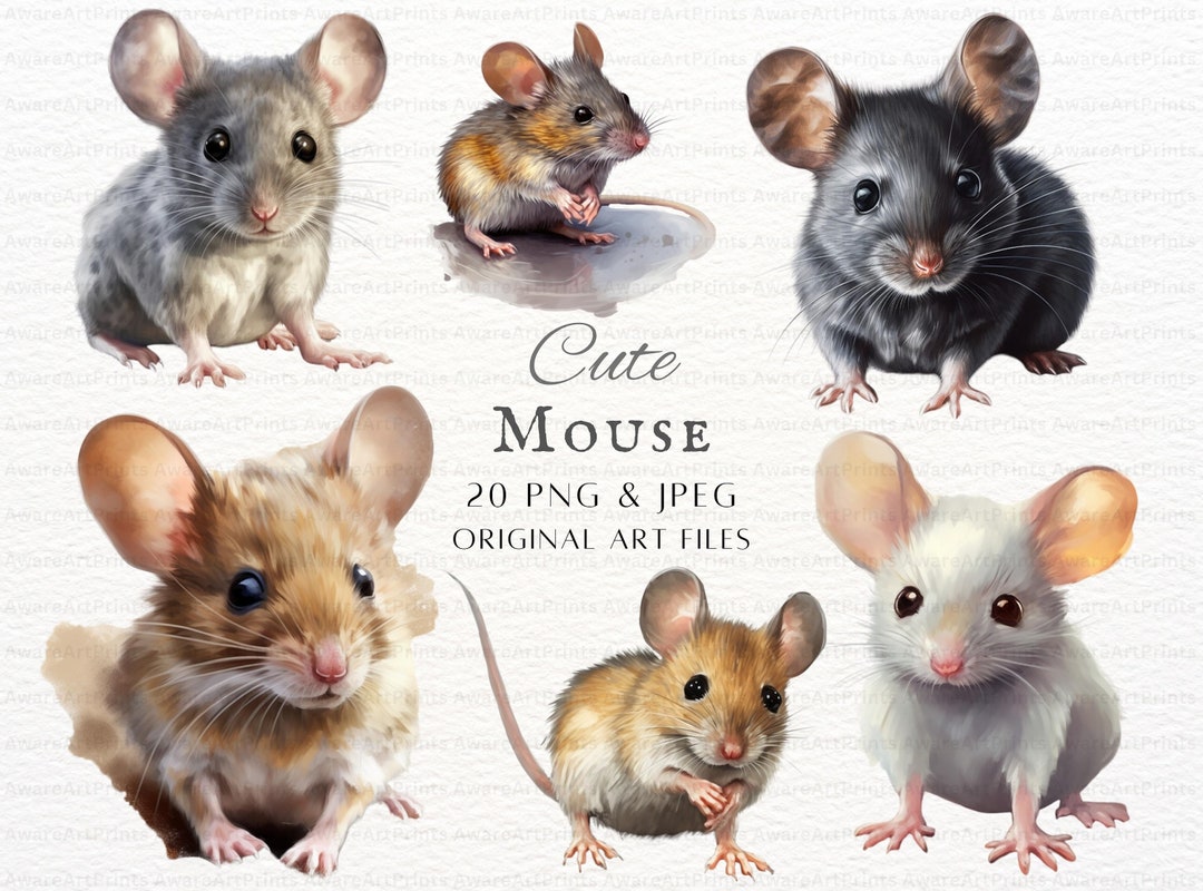 Mouse 20pc PNG & JPEG Mouse Painting Clipart Mouse PNG Cute Mouse