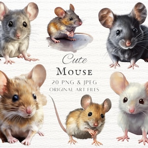 Souris 20 pièces PNG et JPEG | Clipart peinture de souris | Souris PNG | Souris mignonne à usage commercial | Art mural souris imprimable | Souris des champs | Art de souris