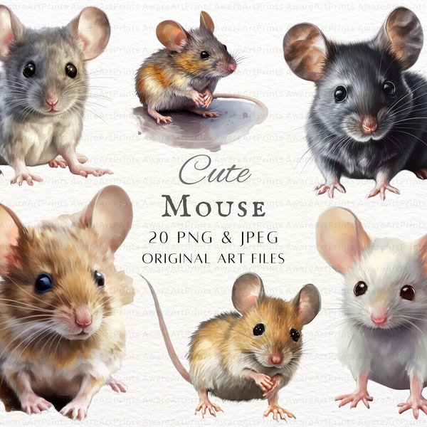 Maus 20 Stück PNG & JPEG | Maus Malerei Clipart | Maus PNG | Niedliche Maus Kommerzielle Nutzung | Druckbare Maus Wandkunst | Feldmaus | Mäuse Art