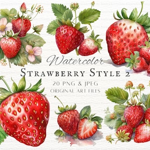Fragole 20pz PNG e JPEG Stile 2 / Clipart di fragole ad acquerello / PNG di fragole / Uso commerciale di fragole / Arte di fragole stampabile