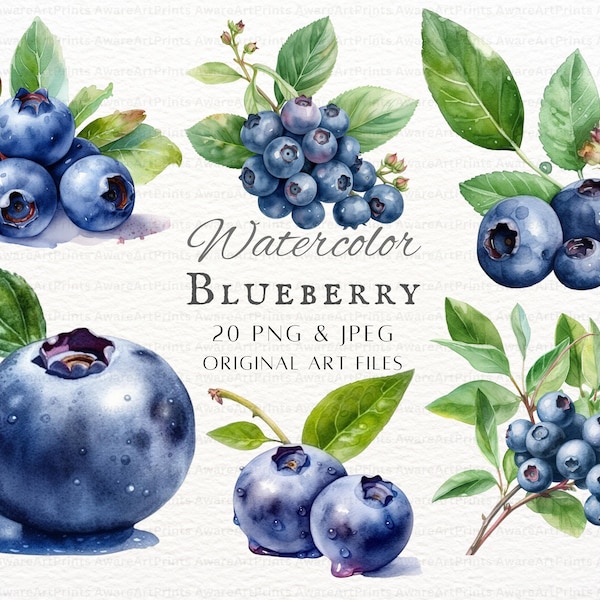 Blueberries 20pc PNG & JPEG Bundle | Watercolor Blueberry | Blueberry PNG | Blueberry Commercial Use | Printable Blueberry | Blueberries Art