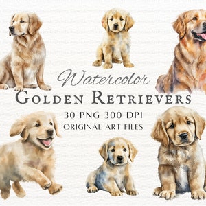 Aquarela Golden Retrievers 30 unidades PNG e JPEG | Uso comercial do Golden Retriever | Golden Retriever PNG | Aquarela, golden retriever Clipart