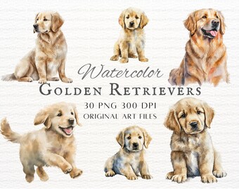 Watercolor Golden Retrievers 30pc PNG & JPEG | Golden Retriever Commercial Use | Golden Retriever PNG | Watercolor Golden Retriever Clipart