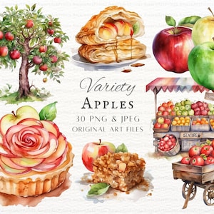 Lot de 30 png et JPEG Apple | Pomme aquarelle | Pomme PNG | Publicité Apple | Pomme imprimable | Clipart de fruits | tarte aux pommes | Jus de pomme