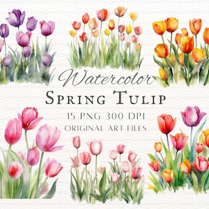 Frühling Tulpe 15p PNG Bündel | Frühlingstulpen PNG | Tulpe PNG | Aquarell Tulpe Kommerzielle Nutzung | Kawaii Tulpe druckbare Kunst | Frühlingsblumen