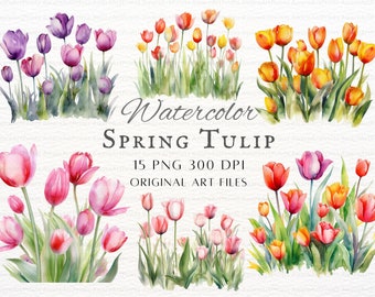 Spring Tulip 15pc PNG Bundle | Spring Tulips PNG | Tulip PNG | Watercolor Tulip Commercial Use | Kawaii Tulip Printable Art | Spring Flowers