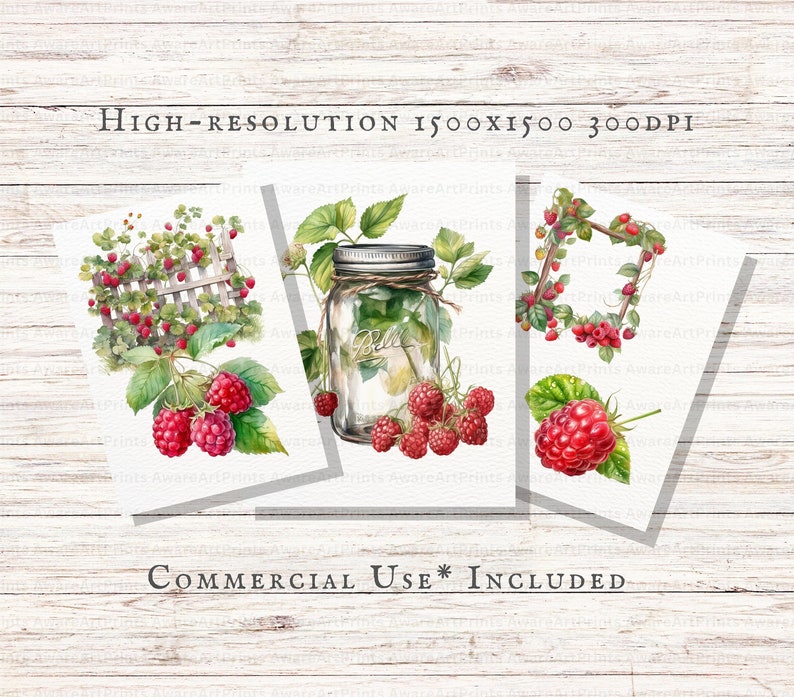 May include: Three watercolor illustrations featuring raspberries. The first image shows a vine of raspberries growing on a white picket fence. The second image shows a mason jar filled with raspberries. The third image shows a wreath of raspberries.