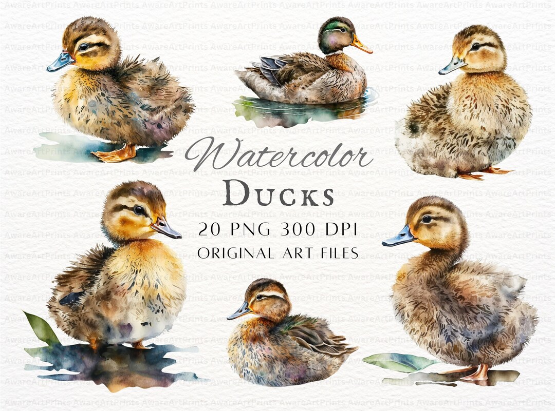 Watercolor Ducks 20pc PNG & JPEG | Watercolor Duck | Watercolor ...