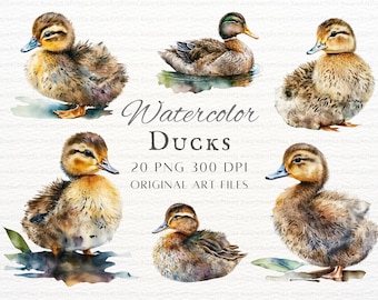 Watercolor Ducks 20pc PNG & JPEG | Watercolor Duck | Watercolor Duckling PNG | Watercolor Duck Commercial Use | Duck Art | Duck Clipart