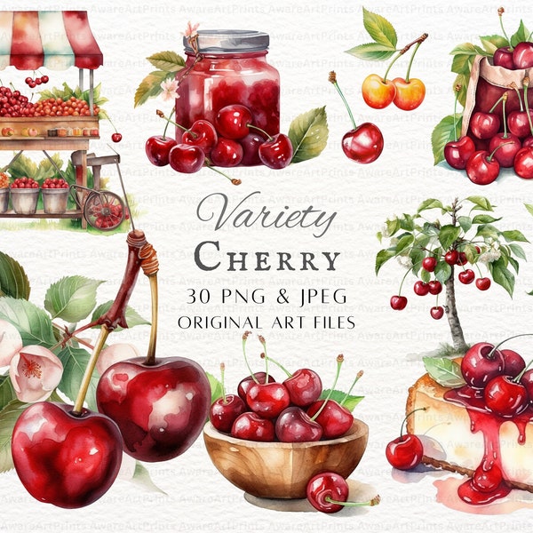 Cherry 30pc PNG & JPEG Bundle | Watercolor Cherry | Cherry PNG | Cherry Commercial Use | Printable Cherry | Cherry Art | Summer Cherries Art