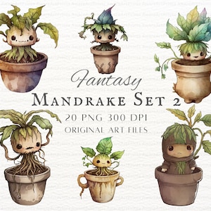 Mandrake 20pc PNG Bundle Set 2 | Mandrake PNG | Kawaii Mandrake