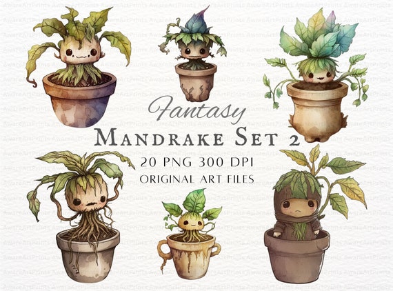 Mandrake 20pc PNG Bundle Set 2 | Mandrake PNG | Kawaii Mandrake