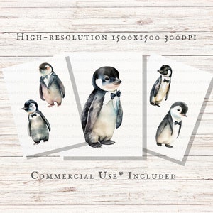 Tuxedo Baby Penguins 25pc PNG & JPEG | Watercolor Penguin PNG | Tuxedo ...