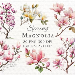 Spring Magnolia 20pc PNG Bundle | Magnolia PNG | Magnolia Tree PNG | Magnolia Flower Commercial Use | Watercolor Magnolia Printable Clipart
