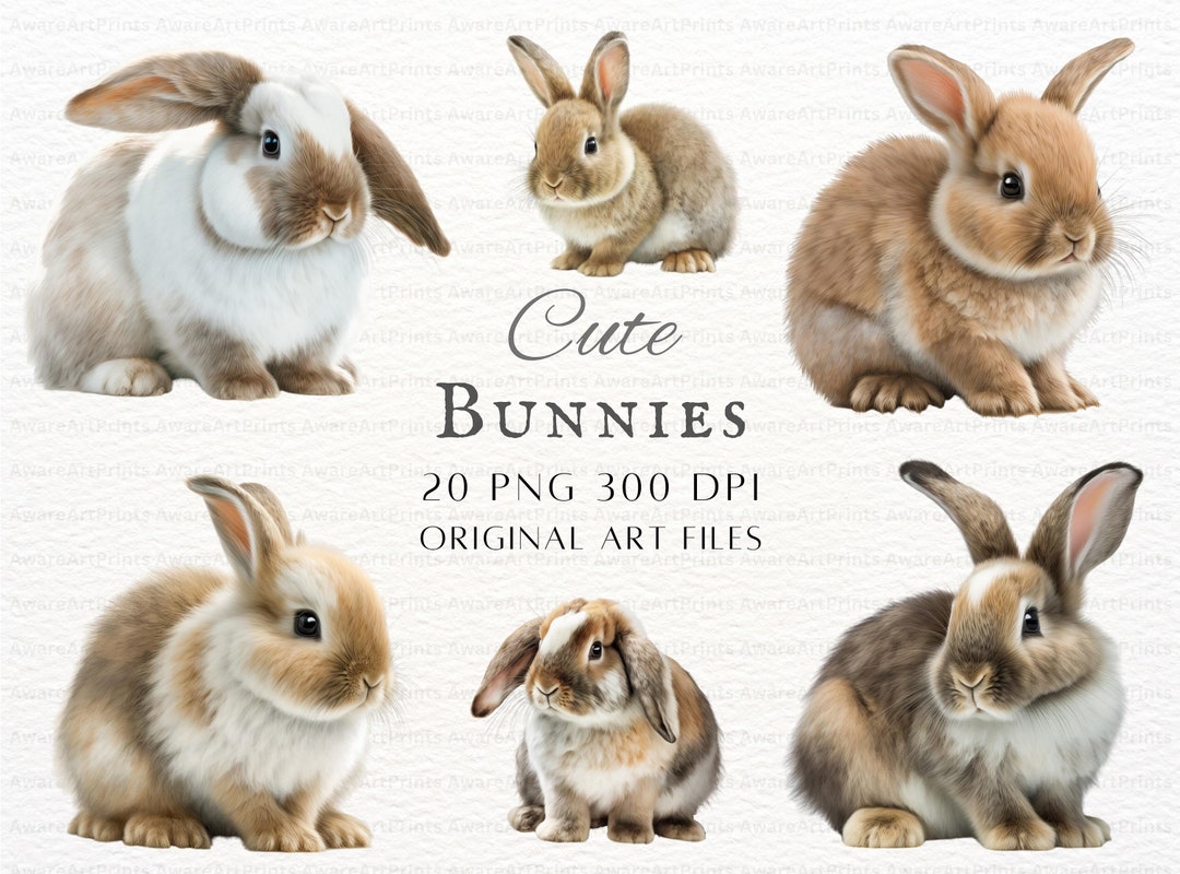 Bunnies 20pc PNG & JPEG Bundle | Bunnies PNG | Bunnies Commercial Use ...