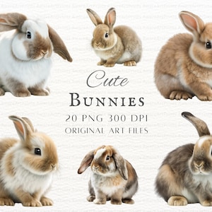 Bunnies 20pc PNG & JPEG Bundle | Bunnies PNG | Bunnies Commercial Use | Bunny Clipart | Rabbit Clipart | Baby Bunny Png | Printable Bunny