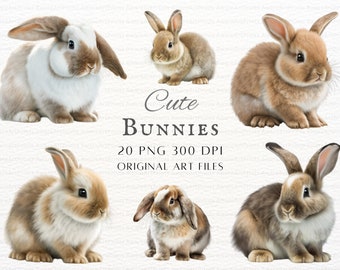 Bunnies 20pc PNG & JPEG Bundle | Bunnies PNG | Bunnies Commercial Use | Bunny Clipart | Rabbit Clipart | Baby Bunny Png | Printable Bunny