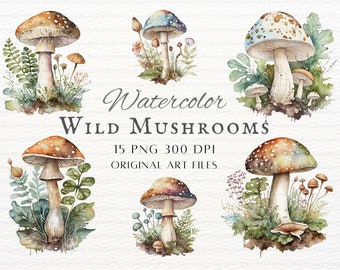 Watercolor Mushroom 15 PNG Bundle | Watercolor Mushroom Clipart | Mushroom PNG | Mushroom Clipart | Kawaii Mushroom PNG | Vintage Mushroom