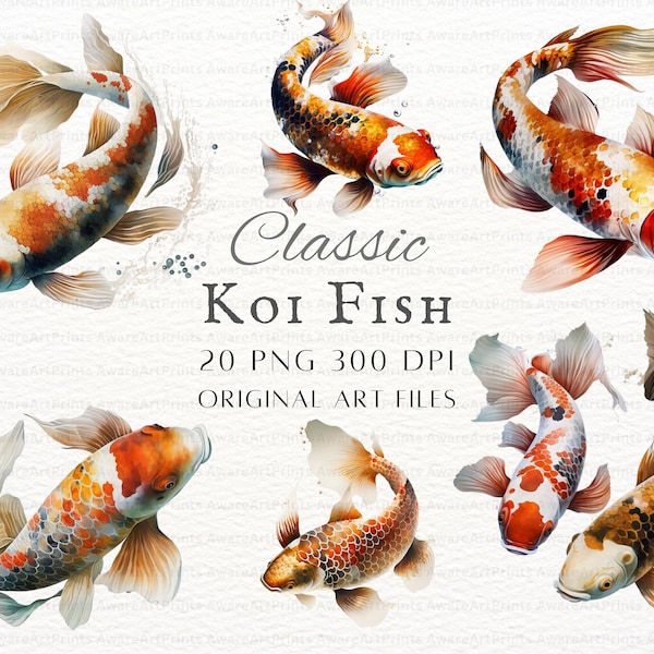 Koi Clipart Bundle 20pc PNG & JPEG | Koi PNG | Koi Clipart | Koi Fish Clipart | Koi Fish Art | Japanese Koi Clipart | Kawaii Koi Clipart Png