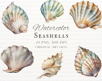 Seashells Clipart 21pc Bundle | Watercolor Seashells Clipart | Watercolor Seashells PNG | Seashell Clipart | Seashells Clipart Bundle Kit