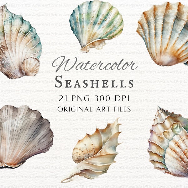 Seashells Clipart 21pc Bundle | Watercolor Seashells Clipart | Watercolor Seashells PNG | Seashell Clipart | Seashells Clipart Bundle Kit