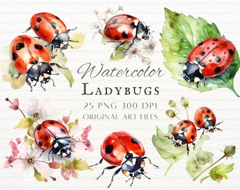 Ladybug 25pc PNG & JPEG | Ladybug PNG | Watercolor Ladybug Art | Ladybug Commercial Use | Spring Ladybug Clipart | Printable Ladybug Clipart