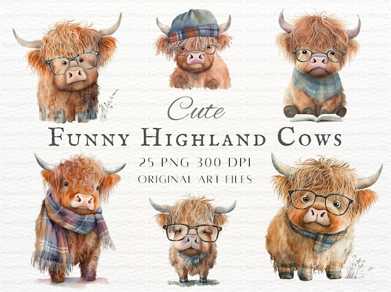 Highland Cow Photos, Download The BEST Free Highland Cow Stock Photos & HD  Images