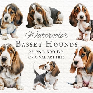 Watercolor Basset Hound 25pc PNG & JPEG | Basset Hound PNG | Basset Hound Commercial Use | Watercolor Basset Hound | Kawaii Basset Hound Png
