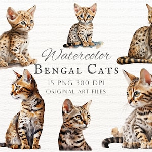 Bengale aquarelle 15pc PNG & JPEG | Chat du Bengale aquarelle PNG | Utilisation commerciale du chat du Bengale | Art de chaton Bengal aquarelle | Clipart bengale S1