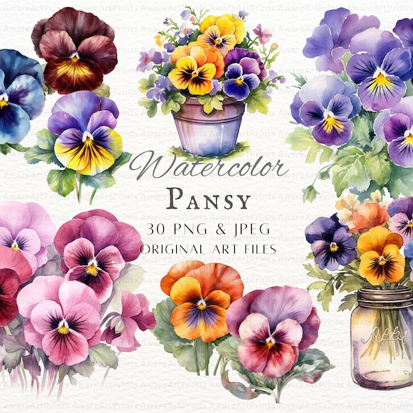 Pansy 30pc PNG & JPEG Bundle | Watercolor Pansy | Pansy PNG | Cute Pansy Flower Commercial Use | Printable Pansy Art | Summer Pansy Clipart