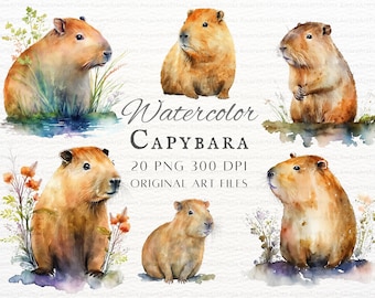 Watercolor Capybara 20pc PNG & JPEG | Capybara PNG | Capybara Commercial Use | Watercolor Capybara | Kawaii Capybara Clipart | Capybara Art