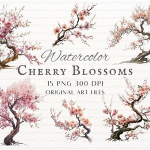 Aquarell Kirschblüte 15 Stück PNG Bundle | Kirschblüte PNG | Kirschblüte Gewerbliche Nutzung | Aquarell Kirschblüten druckbare Clipart