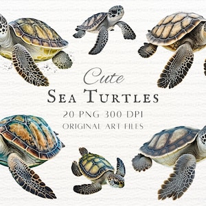Tortuga marina 20pc PNG & JPEG / Tortuga marina / Tortuga marina PNG / Tortuga marina Clipart / Tortuga marina Uso comercial / Tortuga marina Clipart / Tortuga bebé