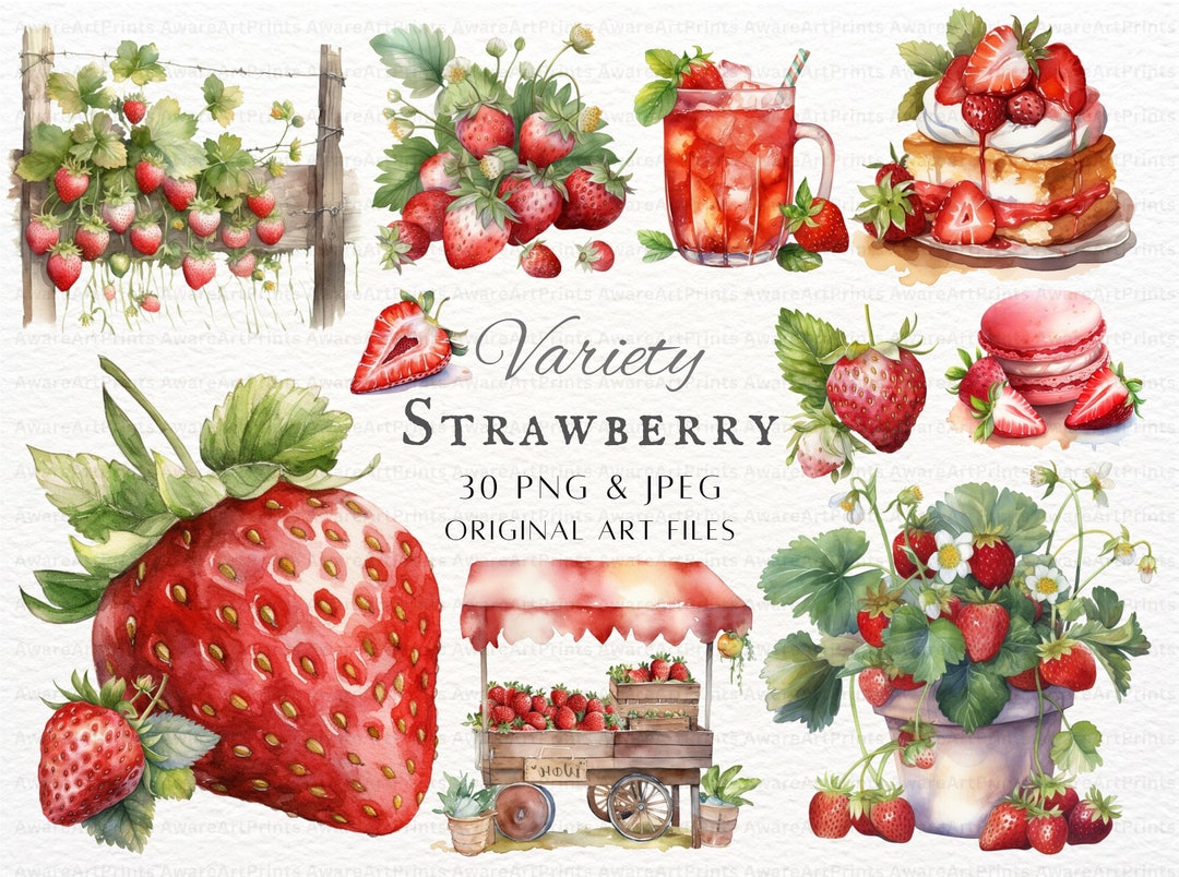 Strawberry 30pc PNG & JPEG Bundle | Watercolor Strawberry | Strawberry ...