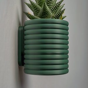 Modern Wall Mounted Planter with Hidden Drip Tray | The Wall Poppy