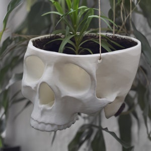 Puede incluir: Un macetero de calavera blanco de cerámica con una pequeña planta verde en su interior. El macetero está colgado de una cuerda.