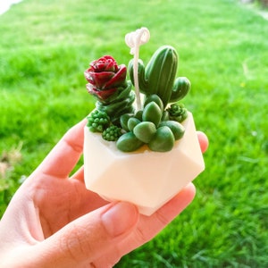 Succulent Cactus Shaped Candle Mother's Day Gift Unique Plant Candle Spring Nature Lover Gift Fresh Scent for New House Candle Hand Poured