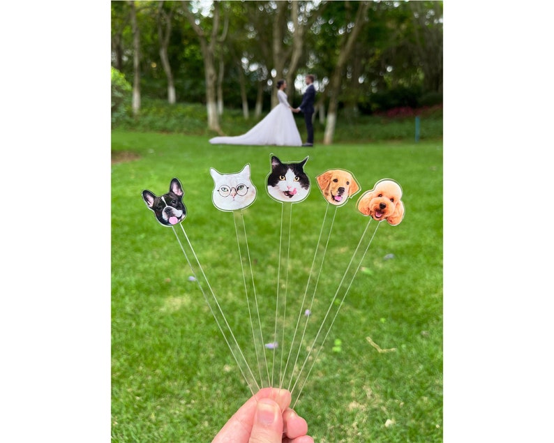May include: Five clear acrylic sticks, each topped with a custom printed animal face cutout. The designs include a black and white French Bulldog, a white cat wearing glasses, a black and white cat, a Golden Retriever, and a light brown Poodle.